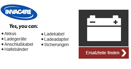 Batterie, Kabel und Ladegerät 