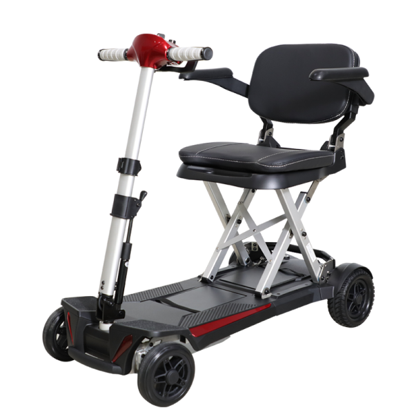 Mini-Elektro-Reisemobil Mobifree Flat (6 km/h)